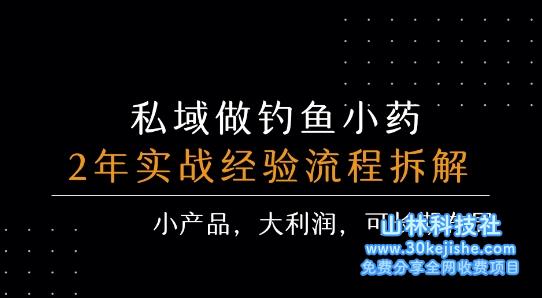 私域做钓鱼小药 每单利润3张+ 详细流程拆解——山林科技社-山林科技社