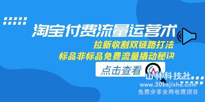 （15135期）淘宝付费流量运营术，拉新收割双链路打法，标品非标品免费流量撬动秘诀_山林科技社-山林科技社