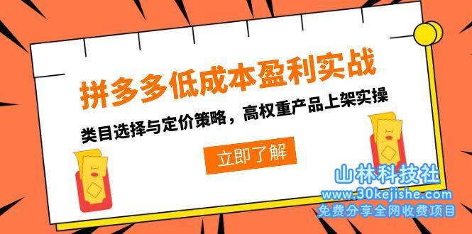 （15143期）拼多多低成本盈利实战，类目选择与定价策略，高权重产品上架实操_山林科技社-山林科技社