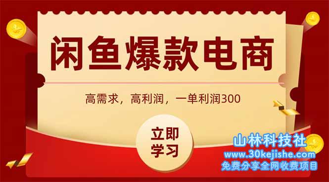（15145期）闲鱼高利润电商，入门到出单只需3小时，每天利润1000_山林科技社-山林科技社