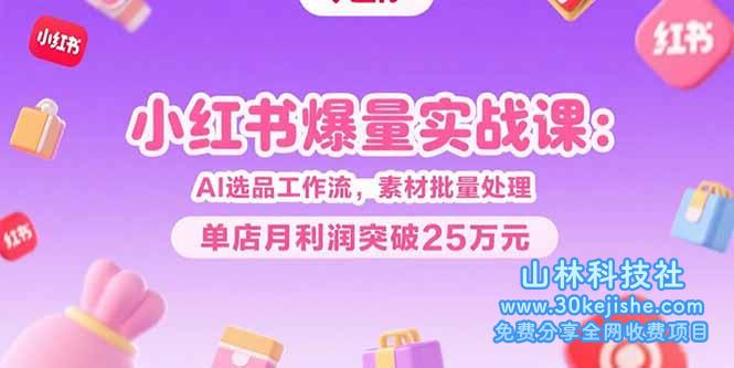 （15462期）小红书爆量实战课：AI选品工作流，素材批量处理，单店月利润突破25万元_山林科技社-山林科技社
