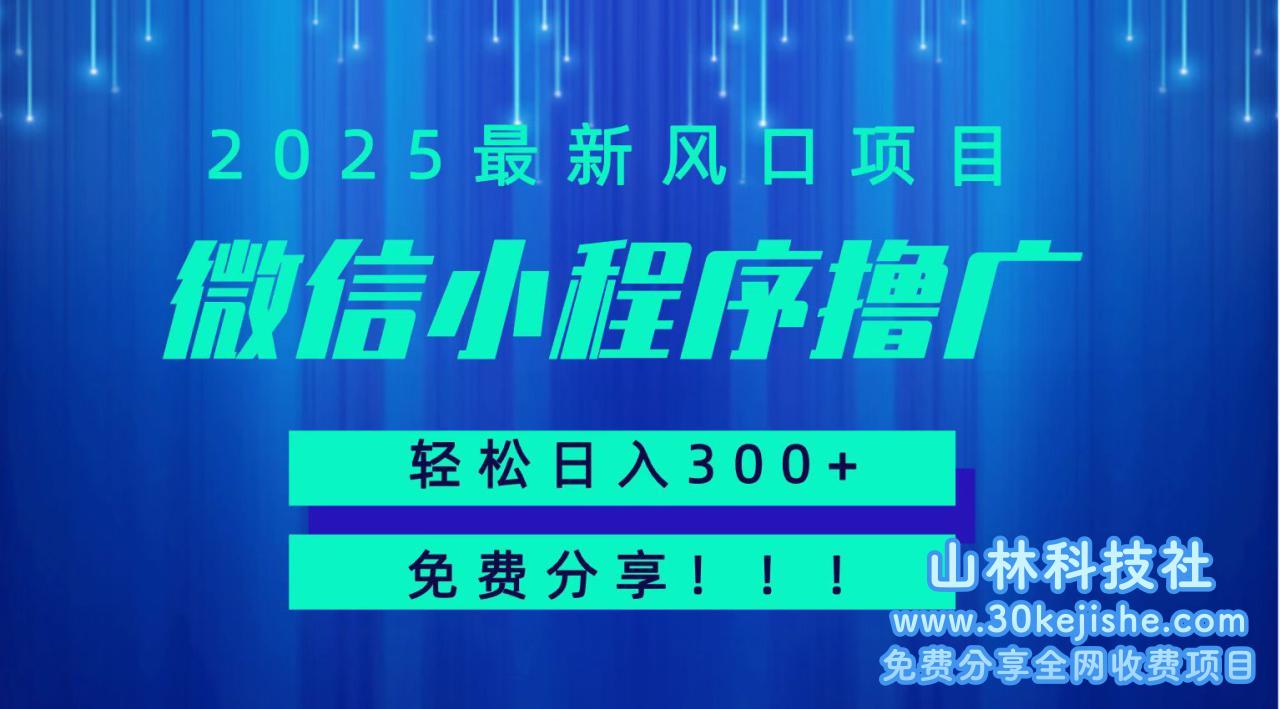 微信小程序撸广，最新风口项目，日入300+ 免费分享 可批量操作 小白可轻松上手！！_山林科技社-山林科技社