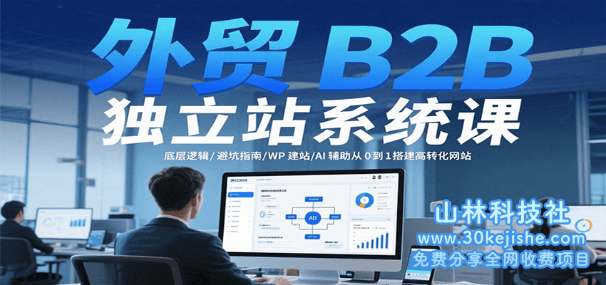 图片[1]-外贸B2B自力站零星课：底层逻辑/避坑指南/WP建站/AI辅助从0到1搭建高转化网站_生财有道守业网-生财有道