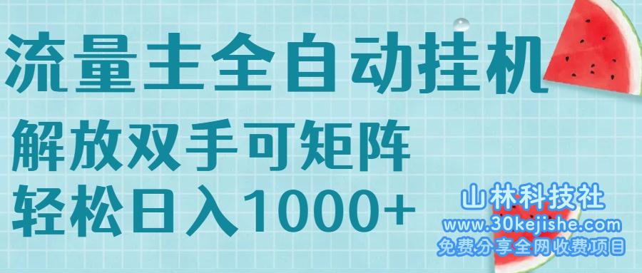 （15369期）流量主挂机每天几分钟日入1000+无脑操作，可矩阵并附有管道收益_山林科技社-山林科技社