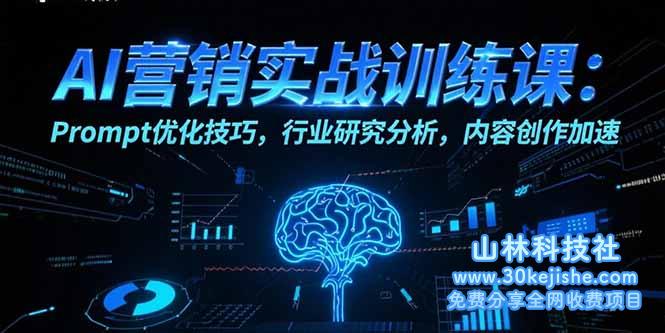 （15465期）AI营销实战训练课：Prompt优化技巧，行业研究分析，内容创作加速_山林科技社-山林科技社