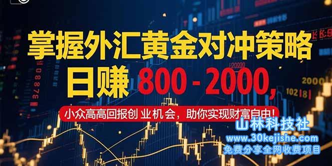（15198期）掌握外汇黄金对冲策略，日赚 800 – 2000，小众高回报创业机会，助你实…_山林科技社-山林科技社