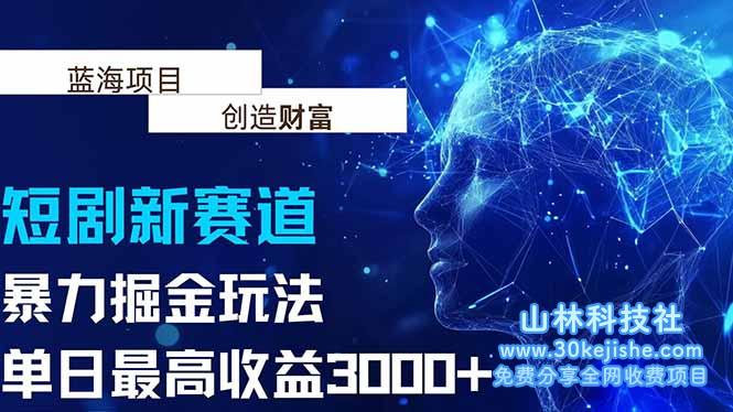 （15438期）抖音新赛道，暴力掘金玩法，单日收益最高3000+_山林科技社-山林科技社