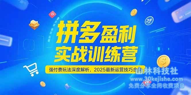 拼多多盈利实战训练营，强付费玩法深度解析，2025最新运营技巧合集_山林科技社-山林科技社