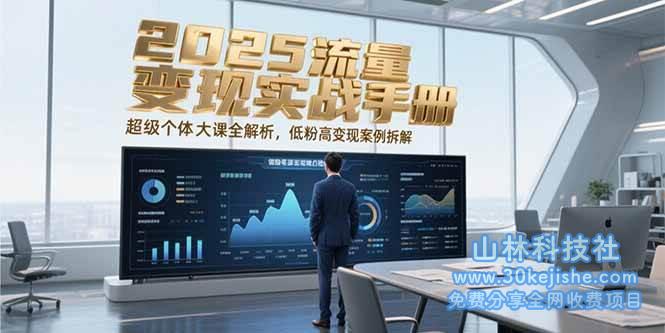 2025流量变现实战手册，超级个体大课全解析，低粉高变现案例拆解_山林科技社-山林科技社