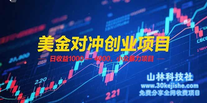 （15187期）美金对冲创业项目，日收益 1000 – 4000，小众暴力项目_山林科技社-山林科技社