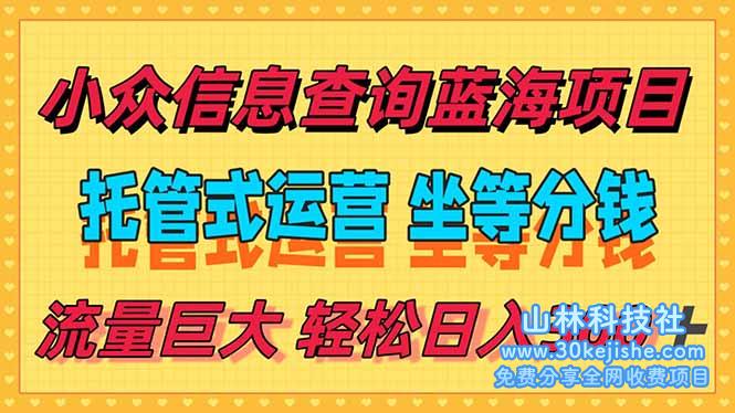 （15216期）稳定日入300＋，小众信息查询蓝海项目，全程懒人式托管，解放你的时间_山林科技社-山林科技社