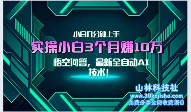 （15213期）最新自动AI技术！小白实操月入3万+，无门槛一分钟上手！_山林科技社-山林科技社