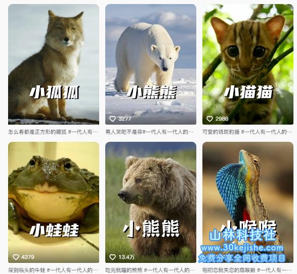 图片[2]-最新搞笑植物百科详细教学课程，蓝海赛道，流量颇为大，轻松签独家进精选——生财有道守业名目网-生财有道