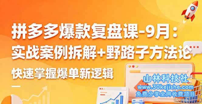 （第9期）拼多多爆款复盘课：实战案例拆解+野路子方法论，快速掌握爆单新逻辑！-山林科技社