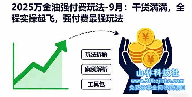 （第31期）2025万金油强付费玩法-9月：干货满满，全程实操起飞，强付费最强玩法！-山林科技社