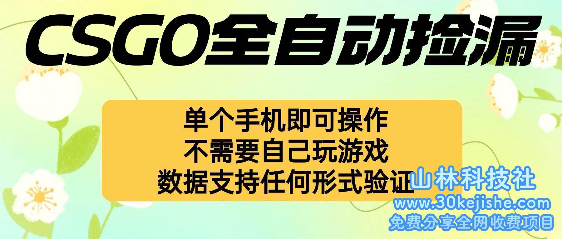 （第13期）自动挂机捡漏，不用自己挂机不用玩游戏，一个手机即可操作！-山林科技社