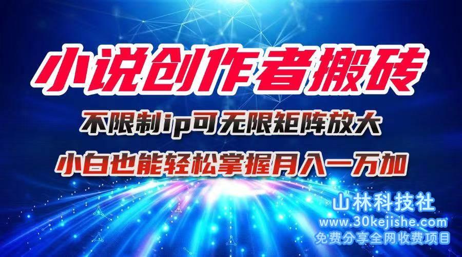 （第14期）小说创作者搬砖玩法，不限制IP简单无脑，可矩阵无限放大！-山林科技社