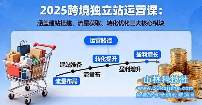 （第38期）2025跨境独立站运营课：涵盖建站搭建、流量获取、转化优化三大核心模块！-山林科技社
