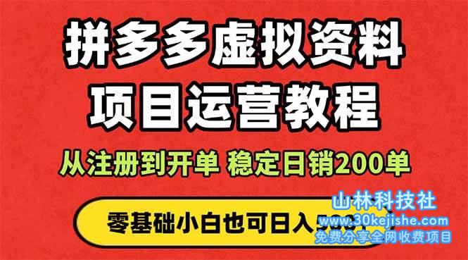 （第23期）拼多多开店运营课程： 蓝海变现玩法，轻松实现睡后收入！-山林科技社