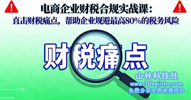（第36期）电商企业财税合规实战课，直击财税痛点，帮助企业规避最高80%的税务风险！-山林科技社