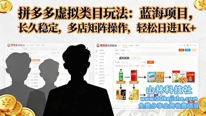 （第27期）拼多多虚拟类目玩法，蓝海项目，长久稳定，多店矩阵操作，轻松日进1K+！-山林科技社