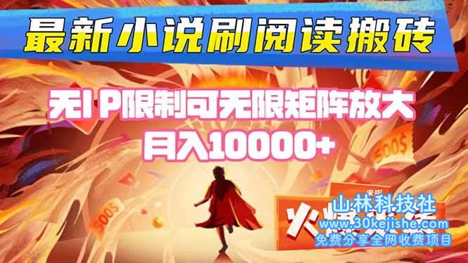 （第28期）小说阅读搬砖单机每天收益200-400+ 无IP限制可无限矩阵放大！-山林科技社