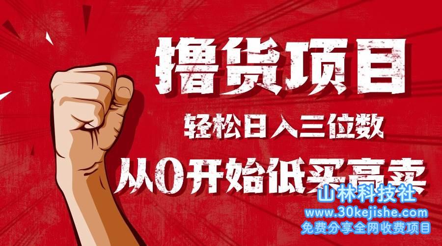 (第47期)手把手教你撸货,从0开始低买高卖,小白轻松实现日入三位数!-山林科技社