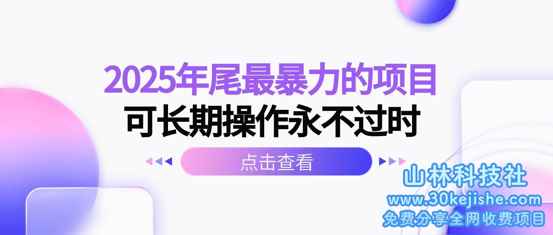 （第54期）2025年尾最暴力的项目可长期操作永不过时！-山林科技社