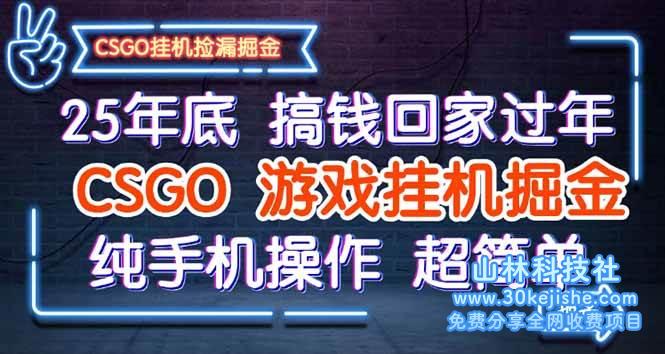 (第58期)25年底搞钱回家过年,CSGO游戏挂机掘金,纯手机操作超简单!-山林科技社