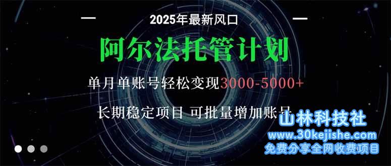 (第60期)阿尔法托管计划,单账号月入3000-5000,长期稳定项目,新手小白轻松上手!-山林科技社