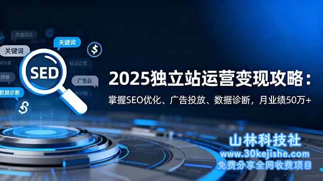 (第119期)2025独立站运营变现攻略:掌握SEO优化、广告投放、数据诊断,月业绩50万+!-山林科技社