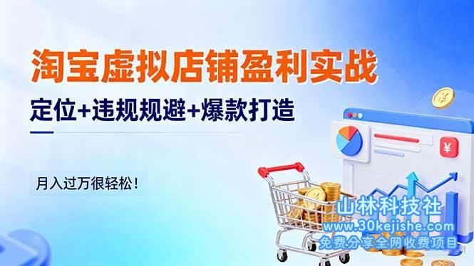 （第127期）淘宝虚拟店铺盈利实战：定位+违规规避+爆款打造，月入过万很轻松！-山林科技社