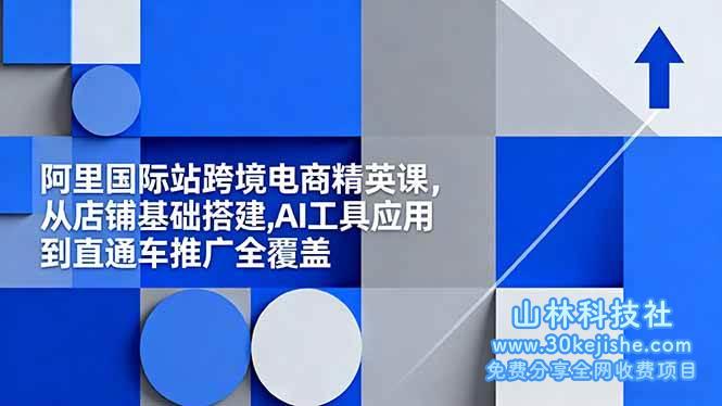 （第196期）阿里国际站跨境电商精英课，从店铺基础搭建，AI工具应用到直通车推广全覆盖！-山林科技社