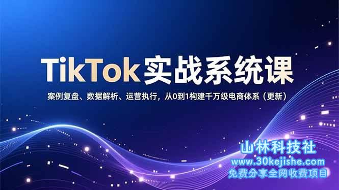 （第209期）TikTok实战系统课，案例复盘、数据解析、运营执行，从0到1构建千万级电商体系（更新）！-山林科技社