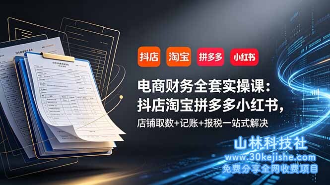 （第116期）电商财务全套实操课：抖店淘宝拼多多小红书，店铺取数+记账+报税一站式解决！-山林科技社