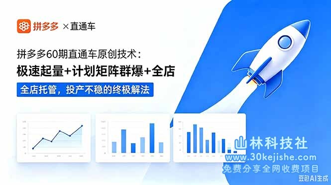 （第30期）拼多多60期直通车原创技术：极速起量+计划矩阵群爆+全店托管，投产不稳的终极解法！-山林科技社